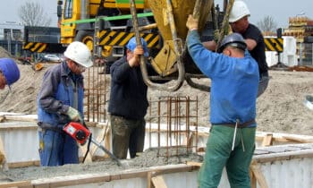 lievers holland 2 p14e trilnaald in actie kopieren