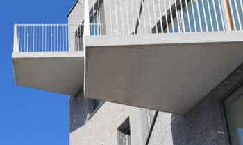 IMG 4428