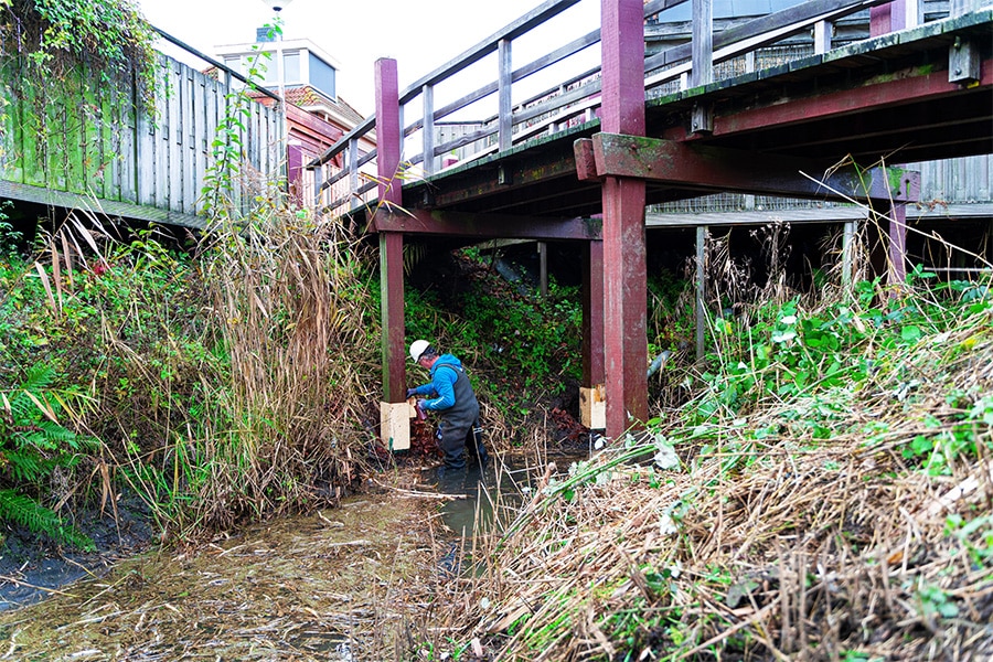 Innovative methods and collaboration crucial in bridge renovation 1