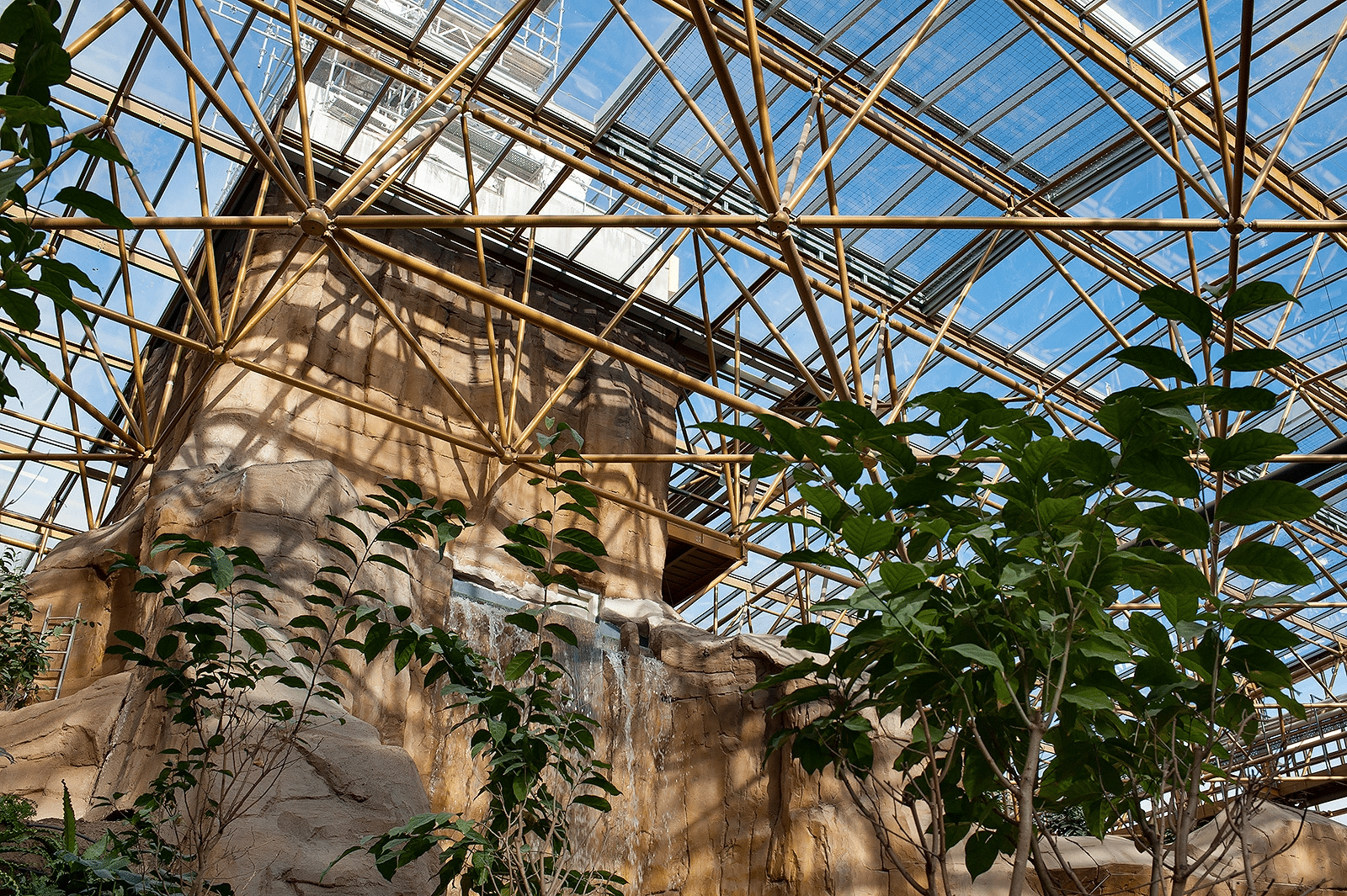 ‘s werelds grootste tropische serre is gebouwd met gerecycleerd staal 2